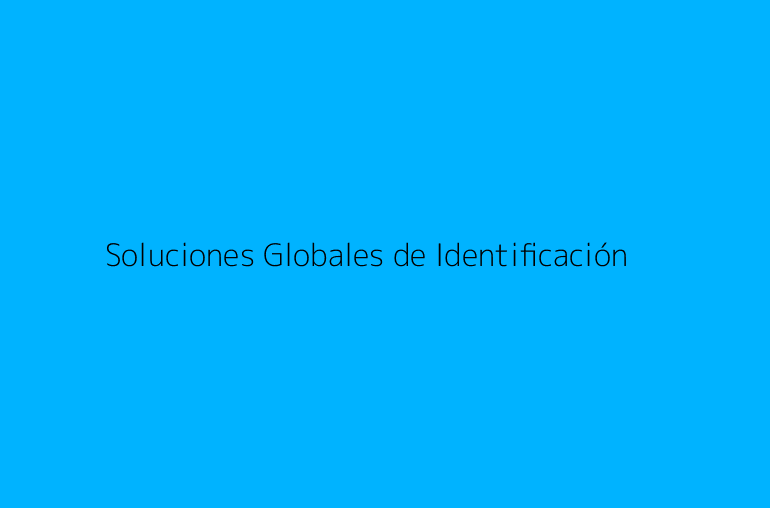 Soluciones Globales de Identificación